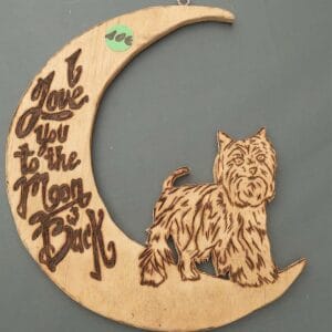 Decoratie I love to the moon and back