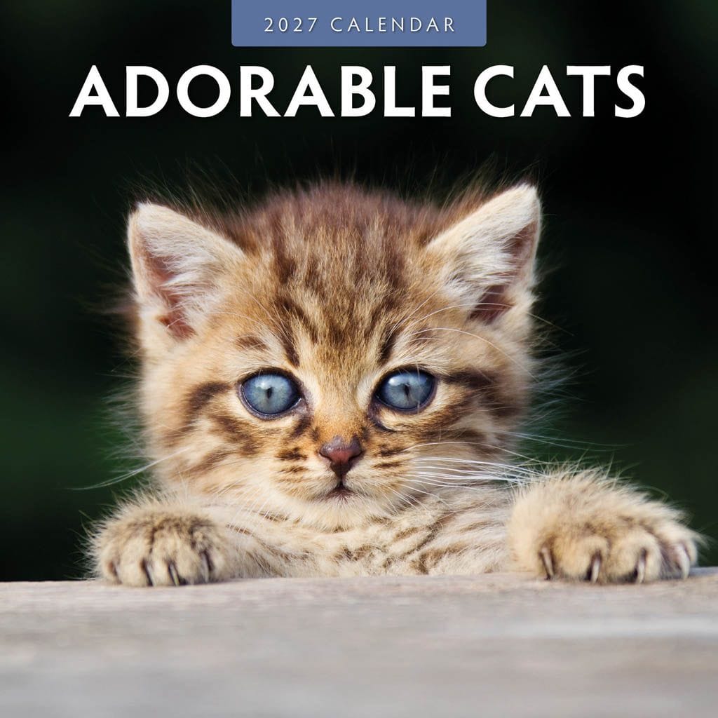 Red Robin Wall Kalender 2027 - Adorable Cats
