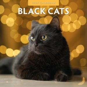 Red Robin Wall Kalender 2027 - Black Cats