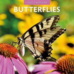 Red Robin Wall Kalender 2027 - Butterflies
