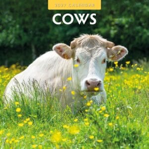 Red Robin Wall Kalender 2027 - Cows