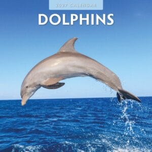 Red Robin Wall Kalender 2027 - Dolphins
