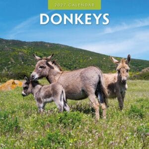 Red Robin Wall Kalender 2027 - Donkeys