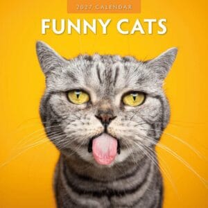 Red Robin Wall Kalender 2027 - Funny Cats