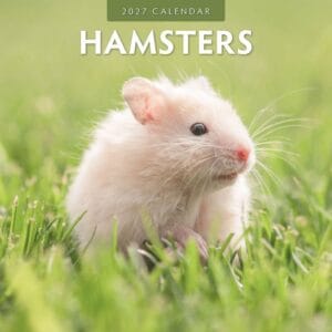 Red Robin Wall Kalender 2027 - Hamsters