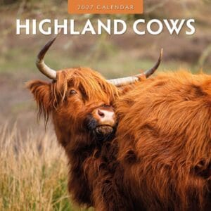 Red Robin Wall Kalender 2027 - Highland Cows