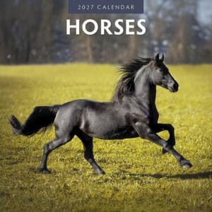 Red Robin Wall Kalender 2027 - Horses