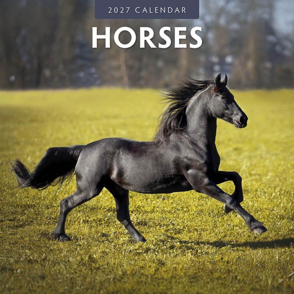 Red Robin Wall Kalender 2027 - Horses