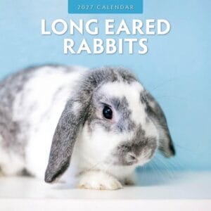 Red Robin Wall Kalender 2027 - Long Eared Rabbits