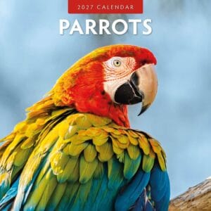 Red Robin Wall Kalender 2027 - Parrots