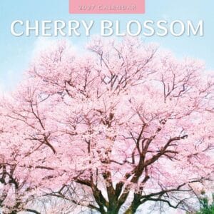 Red Robin Wall Kalender 2027 - Cherry Blossom