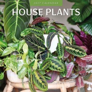 Red Robin Wall Kalender 2027 - House Plants