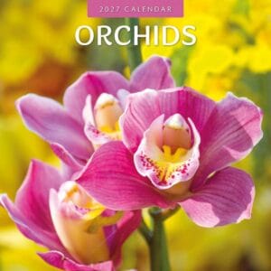 Red Robin Wall Kalender 2027 - Orchids