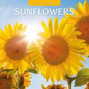 Red Robin Wall Kalender 2027 - Sunflowers