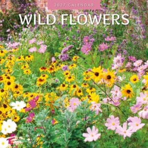 Red Robin Wall Kalender 2027 - Wild Flowers
