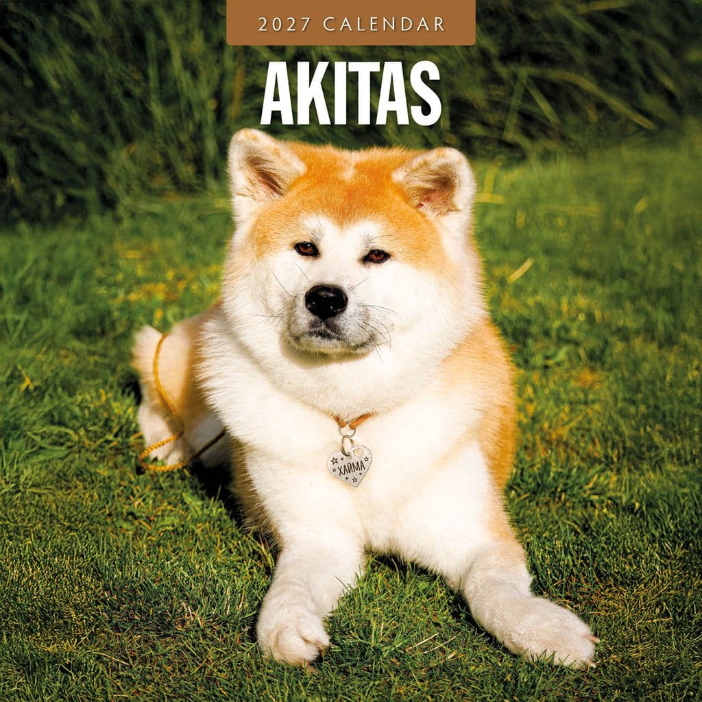 Red Robin Wall Kalender 2027 - Akitas