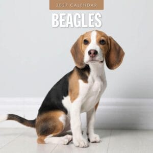 Red Robin Wall Kalender 2027 - Beagles