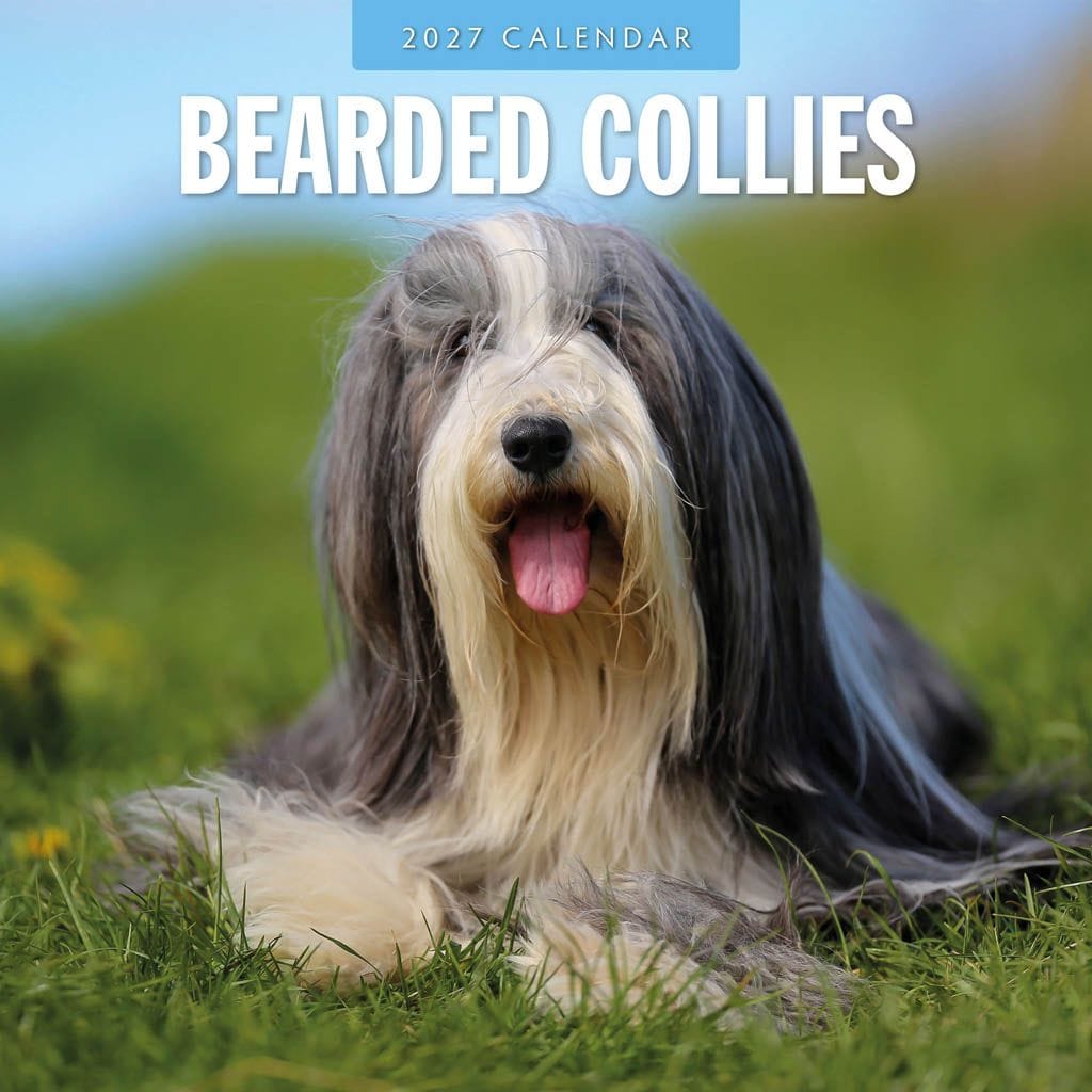 Red Robin Wall Kalender 2027 - Bearded Collies