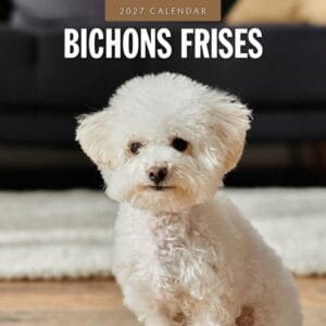 Red Robin Wall Kalender 2027 - Bichons Frises