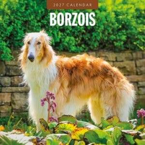 Red Robin Wall Kalender 2027 - Borzois