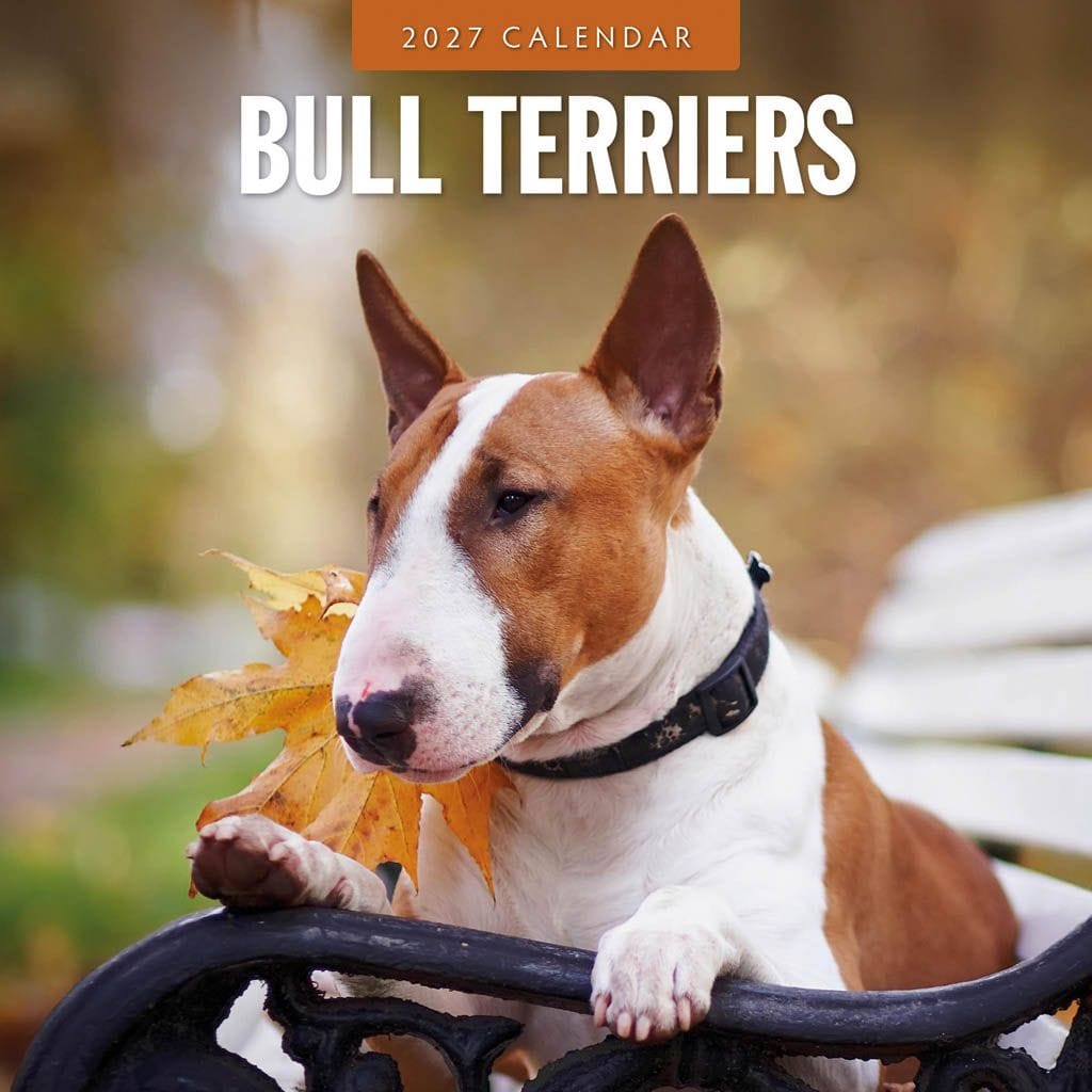Red Robin Wall Kalender 2027 - Bull Terriers