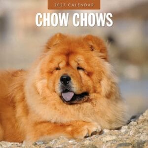 Red Robin Wall Kalender 2027 - Chow Chows