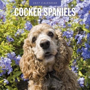 Red Robin Wall Kalender 2027 - Cocker Spaniels