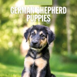 Red Robin Wall Kalender 2027 - German Shepherd Puppies