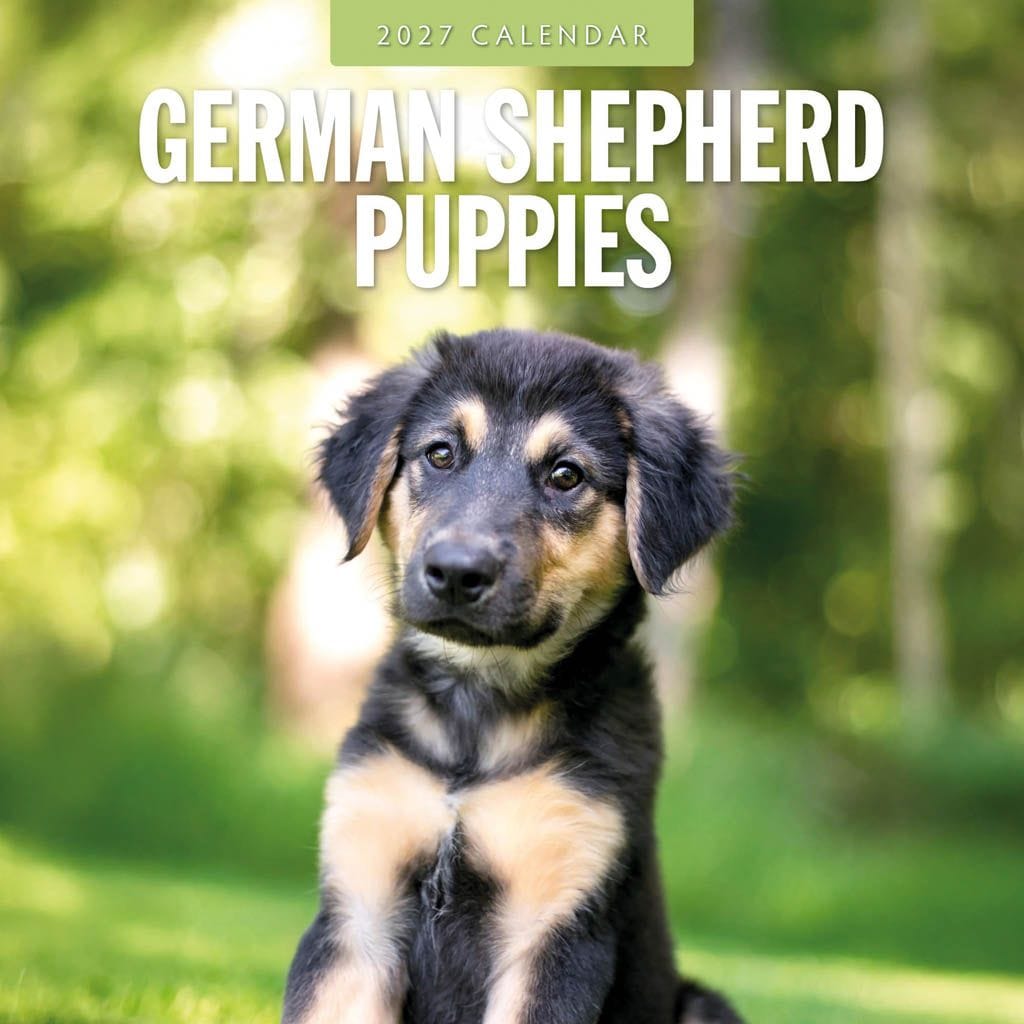 Red Robin Wall Kalender 2027 - German Shepherd Puppies
