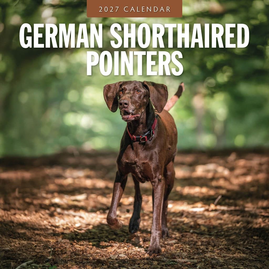 Red Robin Wall Kalender 2027 - German Shorthaired Pointers