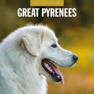 Red Robin Wall Kalender 2027 - Great Pyrenees