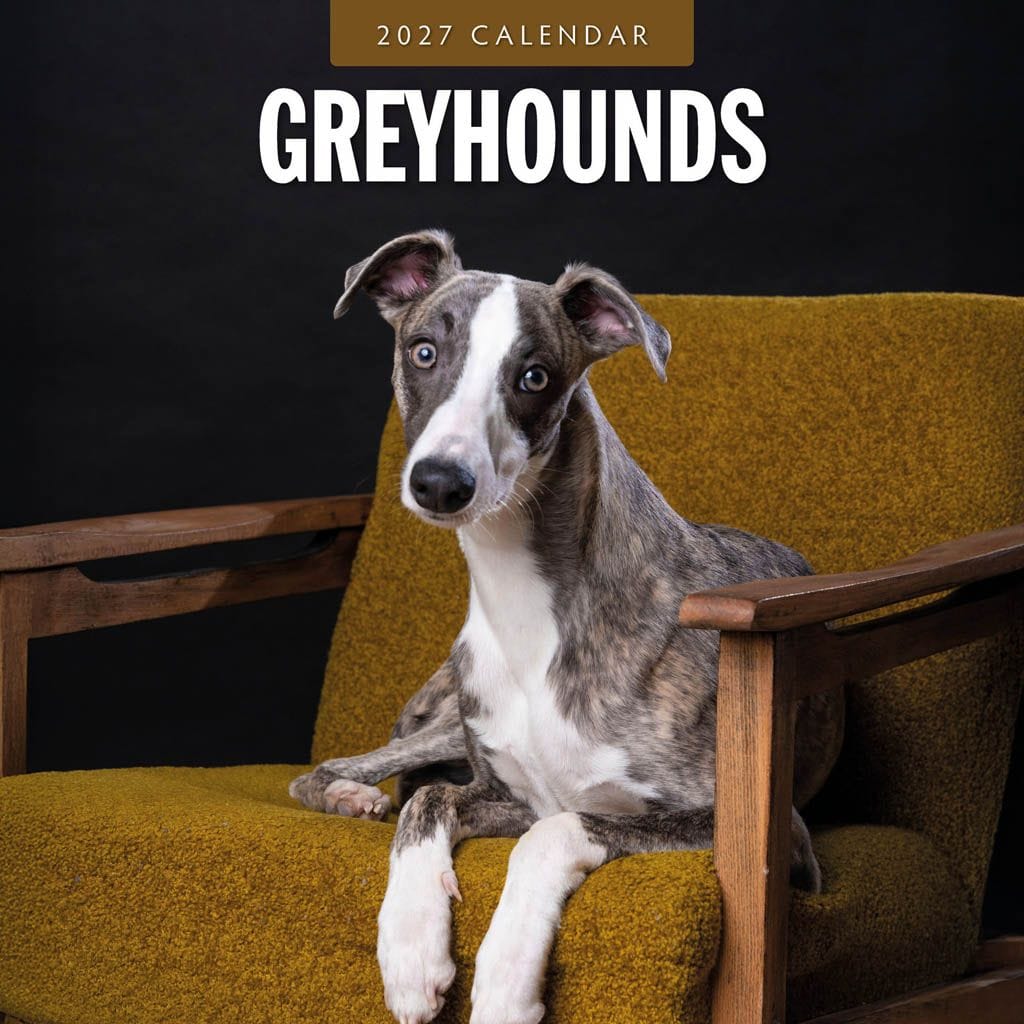 Red Robin Wall Kalender 2027 - Greyhounds