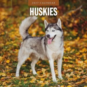 Red Robin Wall Kalender 2027 - Huskies