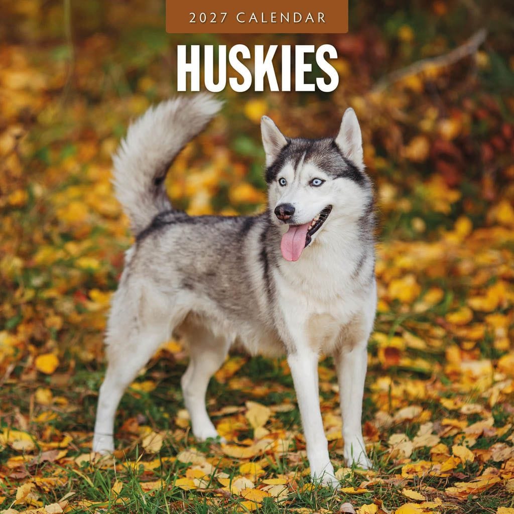 Red Robin Wall Kalender 2027 - Huskies