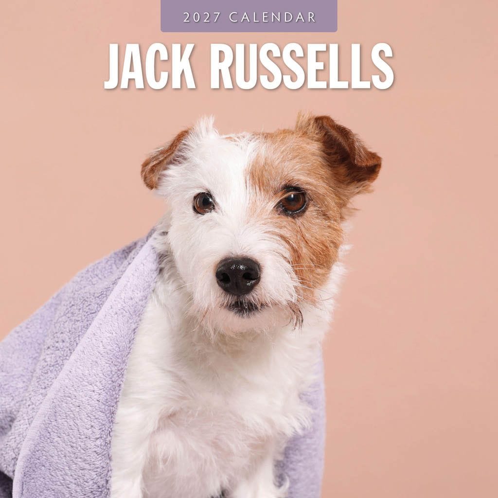 Red Robin Wall Kalender 2027 - Jack Russells