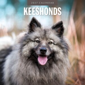 Red Robin Wall Kalender 2027 - Keeshonds