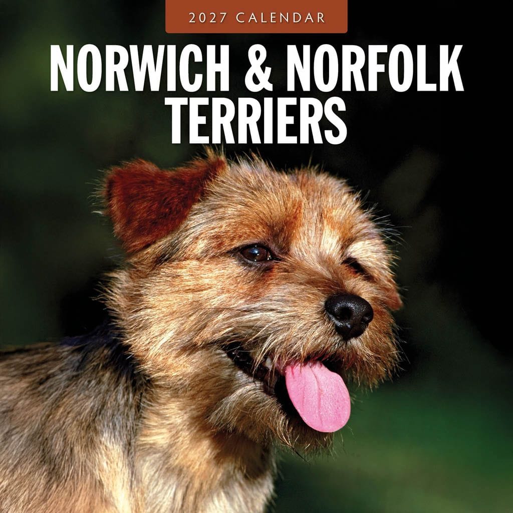 Red Robin Wall Kalender 2027 - Norwich & Norfolk Terriers