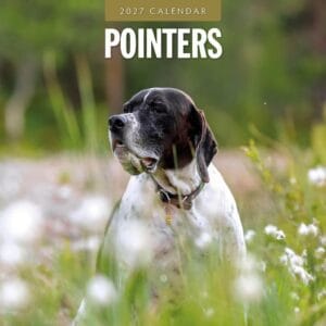 Red Robin Wall Kalender 2027 - Pointers