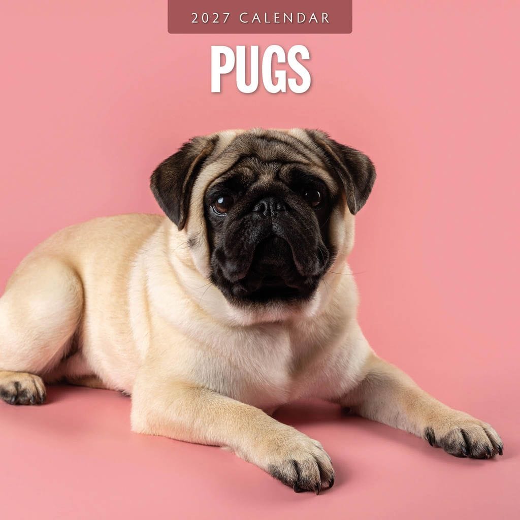 Red Robin Wall Kalender 2027 - Pugs