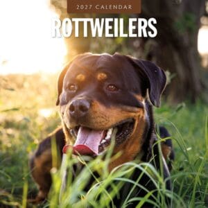 Red Robin Wall Kalender 2027 - Rottweilers