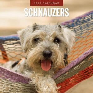 Red Robin Wall Kalender 2027 - Schnauzer