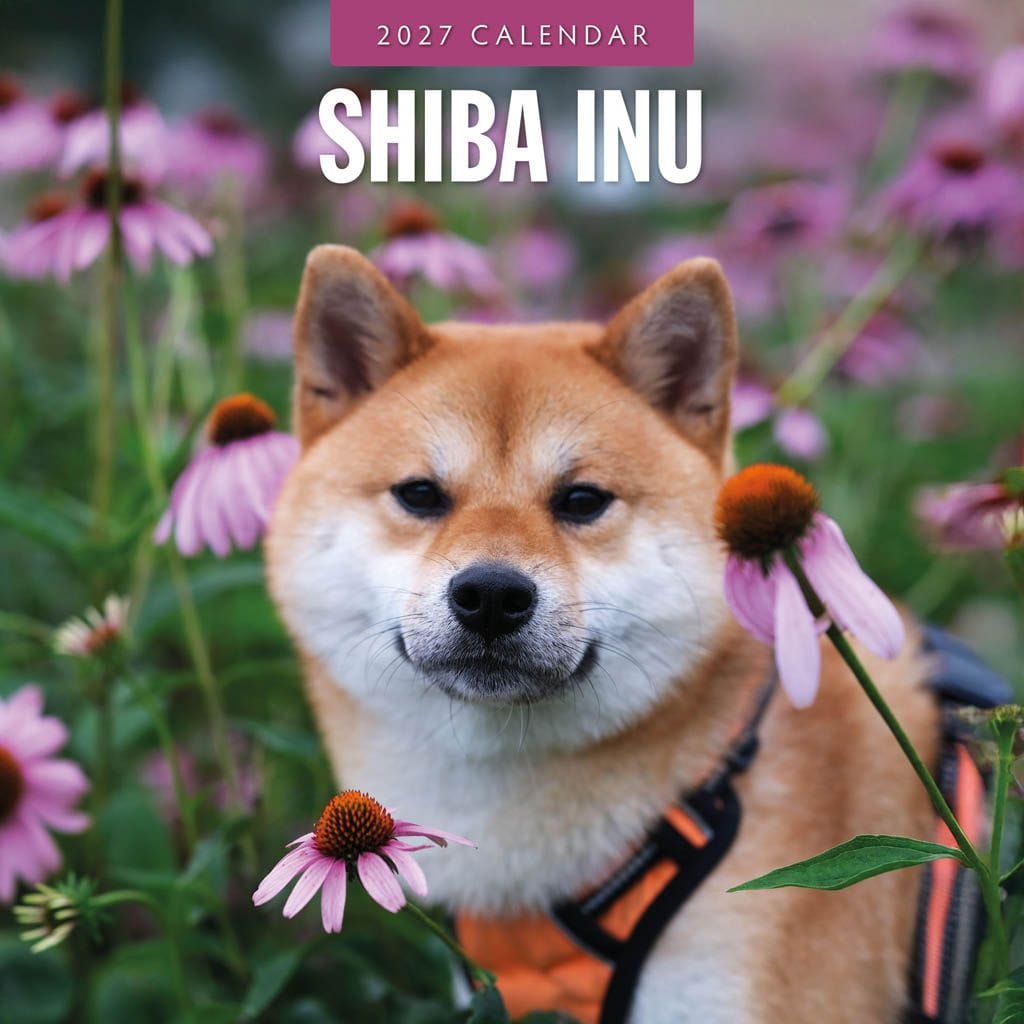 Red Robin Wall Kalender 2027 - Shiba Inu