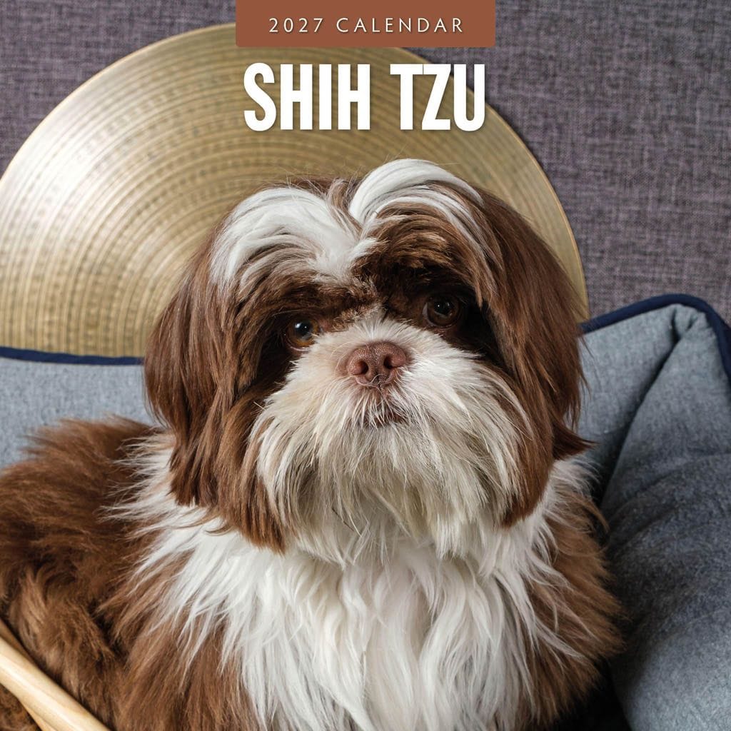 Red Robin Wall Kalender 2027 - Shih Tzu