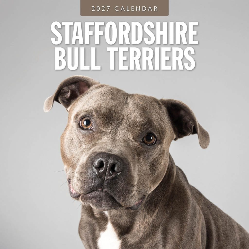 Red Robin Wall Kalender 2027 - Staffordshire Bull Terriers