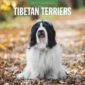 Red Robin Wall Kalender 2027 - Tibetan Terriers