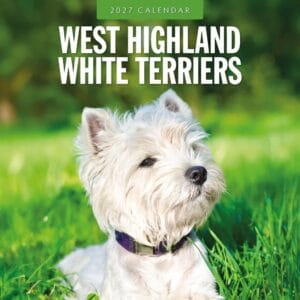 Red Robin Wall Kalender 2027 - West Highland White Terriers