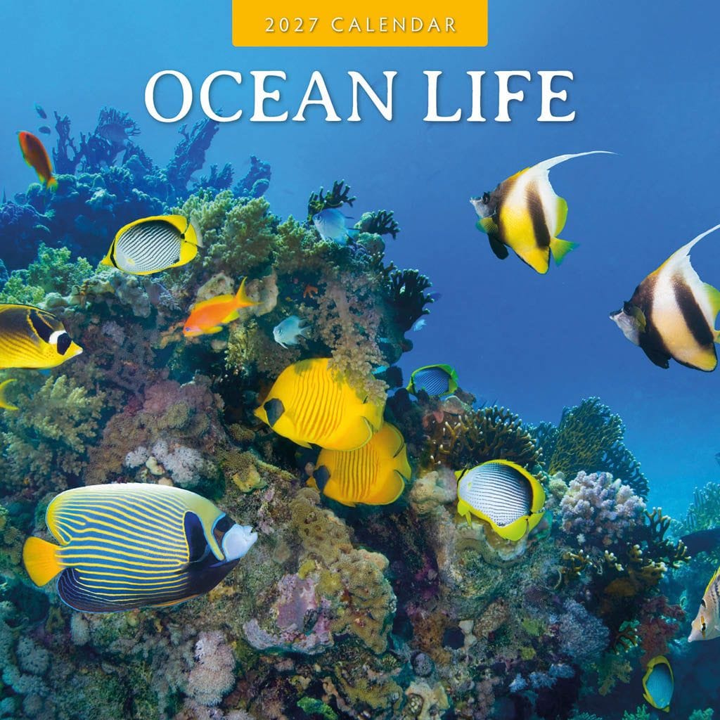 Red Robin Wall Kalender 2027 - Ocean Life