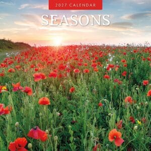 Red Robin Wall Kalender 2027 - Seasons