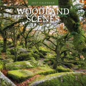 Red Robin Wall Kalender 2027 - Woodland Scenes